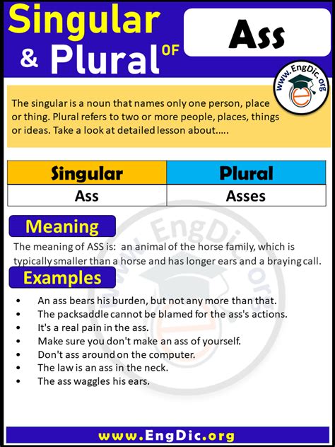 plural of ass|ASS definition in American English .